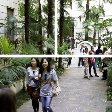 リンガビーバの特徴