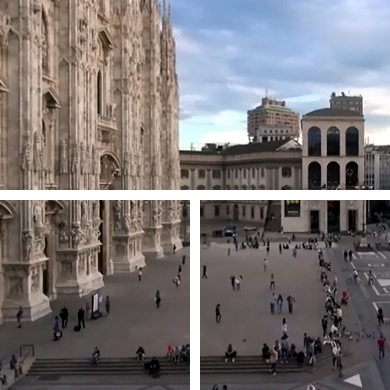 リンガビーバの特徴