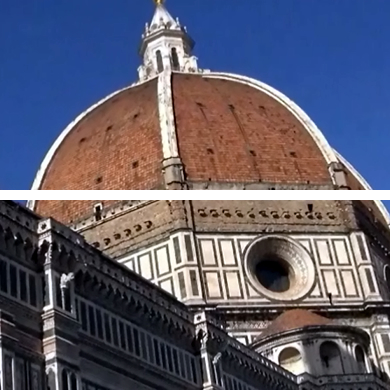 リンガビーバの特徴